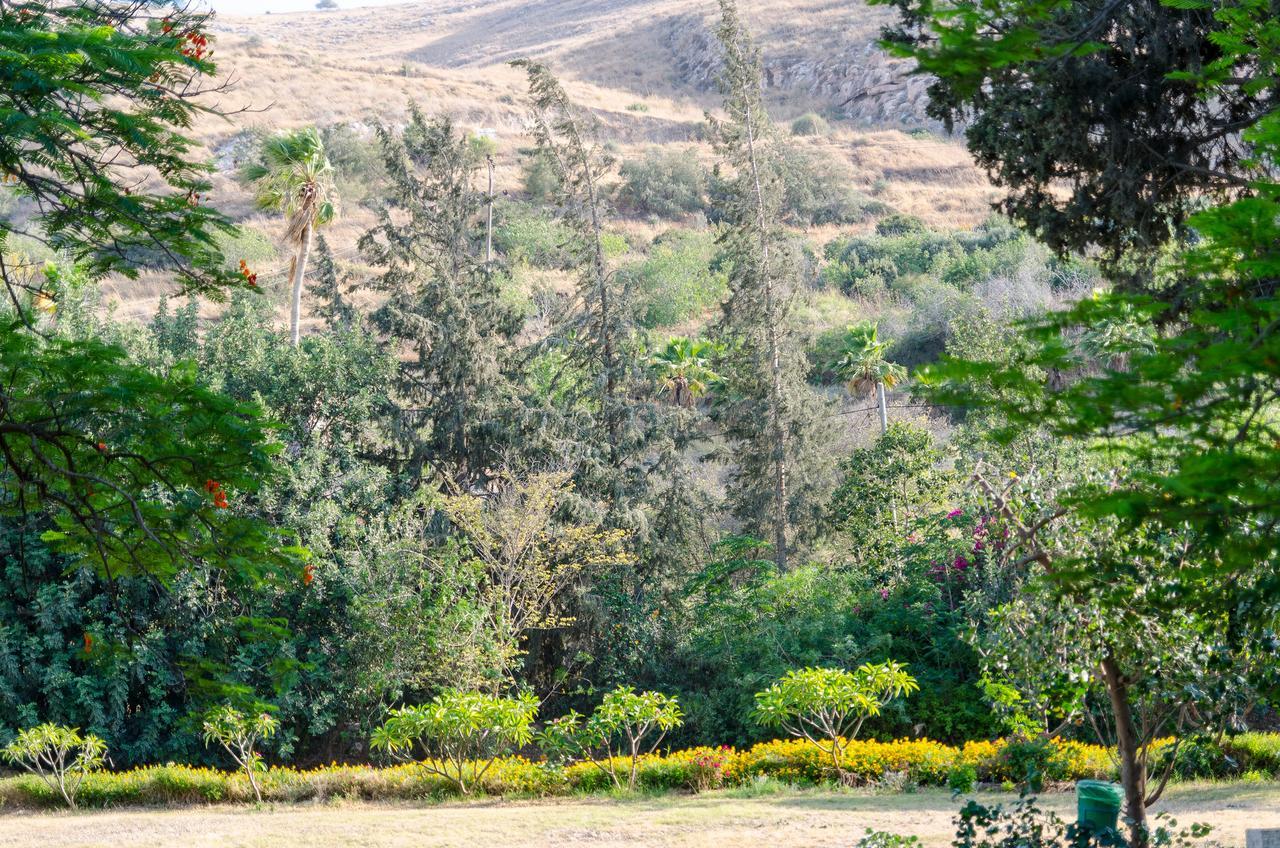 Bait Alfa Kibbutz Country Lodging Bet Alfa Pokoj fotografie